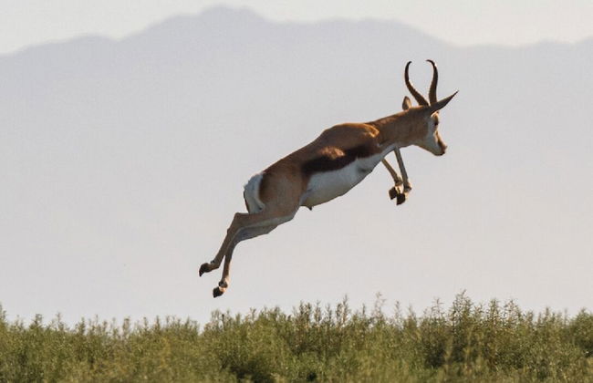 Melozhori Game Reserve - Photo 5