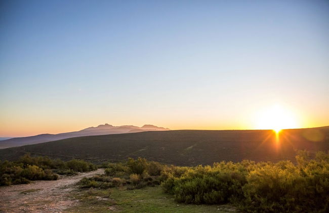 Melozhori Game Reserve - Photo 2