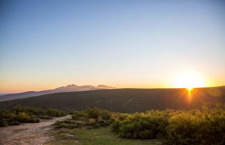 Photo 2 - Melozhori Game Reserve