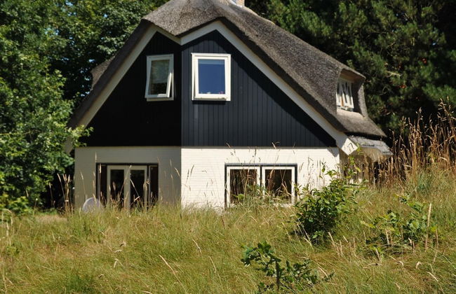 Luxury Villa by the Dunes - Foto 1