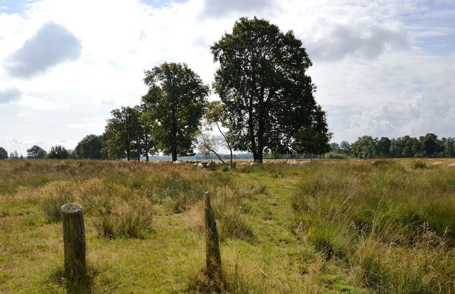 Beautiful Farmhouse in Wapse With Fenced Garden - Photo 11