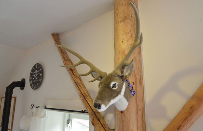 Beautiful Farmhouse in Wapse With Fenced Garden - Photo 7