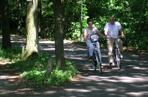 Photo 26 - Rural Vacation Home in Maarheeze