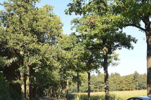 Photo 18 - Rural Vacation Home in Maarheeze