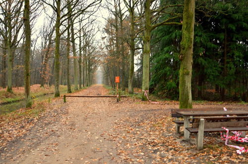 Photo 23 - Rural Vacation Home in Maarheeze