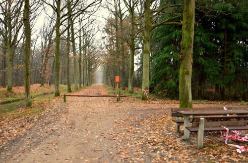 Photo 20 - Rural Vacation Home in Maarheeze