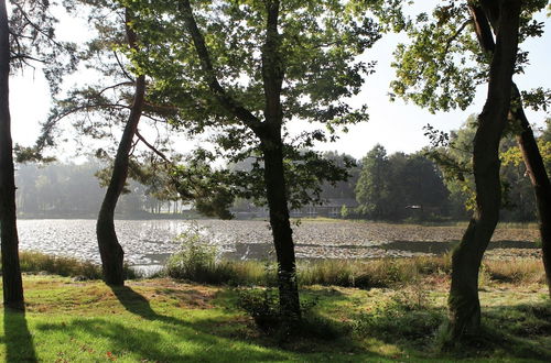 Photo 30 - Completely Detached Bungalow in a Nature-filled Park by a Large fen