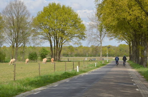 Photo 34 - Lovely Holiday Home in Limburg Amid Lush Forest