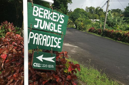 Photo 74 - Berkey's Jungle Paradise