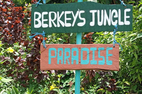 Photo 36 - Berkey's Jungle Paradise