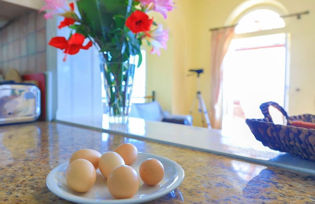 House On The Rocks in Nisaki - Photo 25