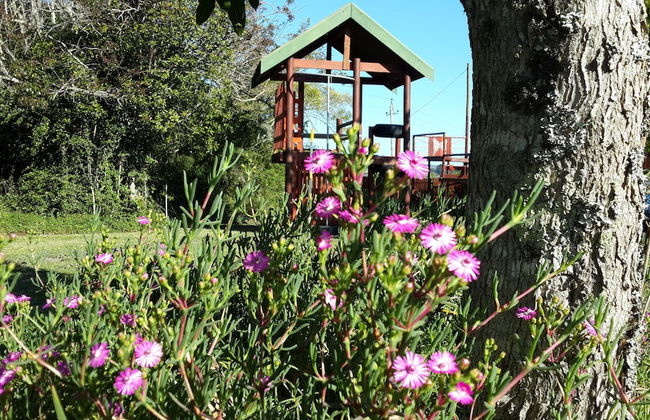 Teniqua Treetops - Foto 68
