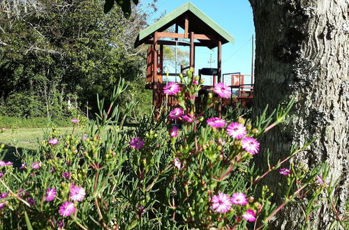 Photo 23 - Teniqua Treetops