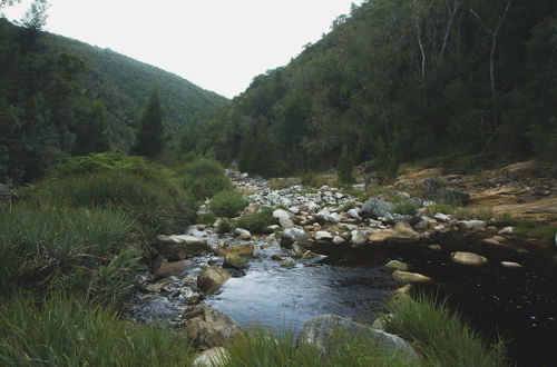 Photo 25 - Teniqua Treetops