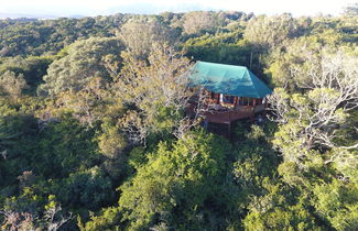 Foto 3 - Teniqua Treetops