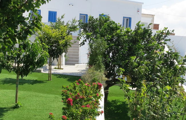 Room-andoni's House in Pitrofos Andros i - Foto 28