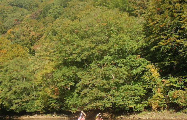 Shioya Spa - Photo 12