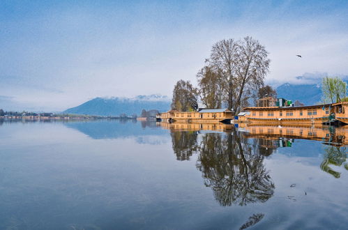 Photo 16 - Golden Flower Heritage Houseboat