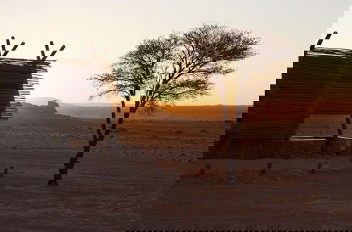 Photo 23 - Desert Quiver Camp