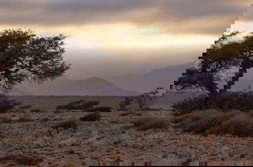 Photo 28 - Desert Quiver Camp