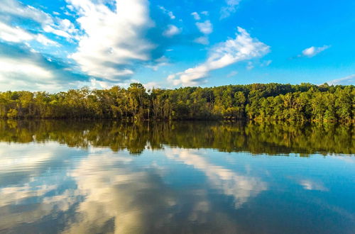 Photo 19 - Toccoa Home on Tugaloo River at Lake Hartwell