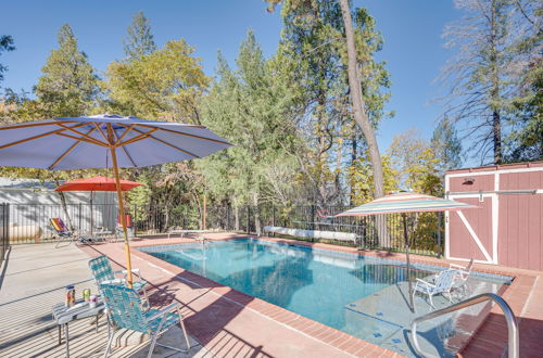 Photo 11 - Cozy Placerville Cottage w/ Pool on Livestock Farm