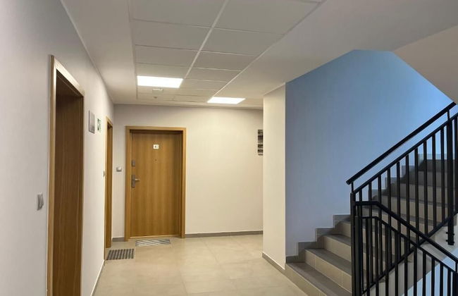 Family Homes - Apartament Nowe Hallerowo - Foto 19