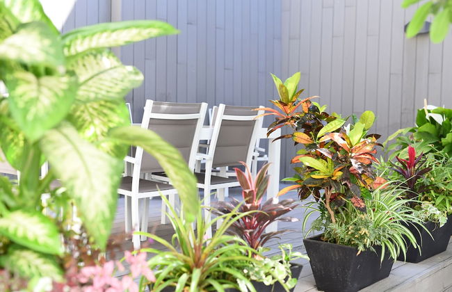 Calypso Boutique Apartments - Foto 30