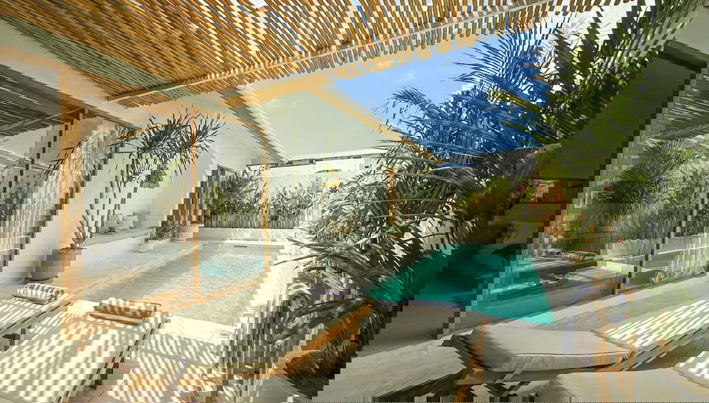 Imagem principal