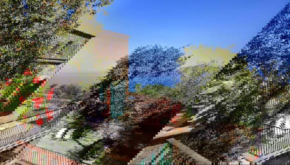 Imagem principal