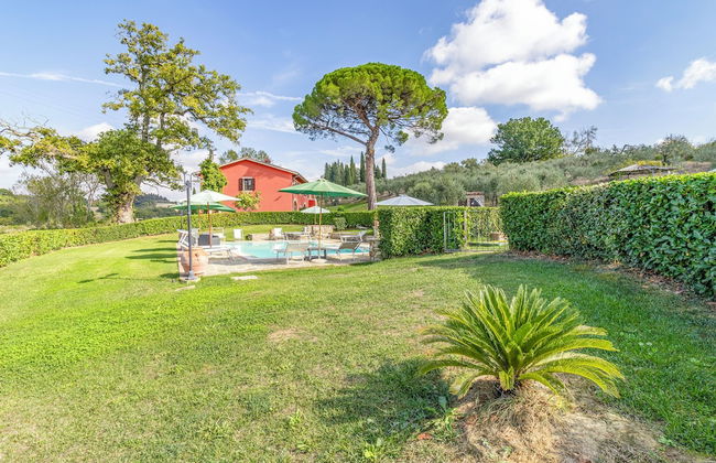 Maramaldo Gallonero, Shared Pool, Chianti - Foto 14