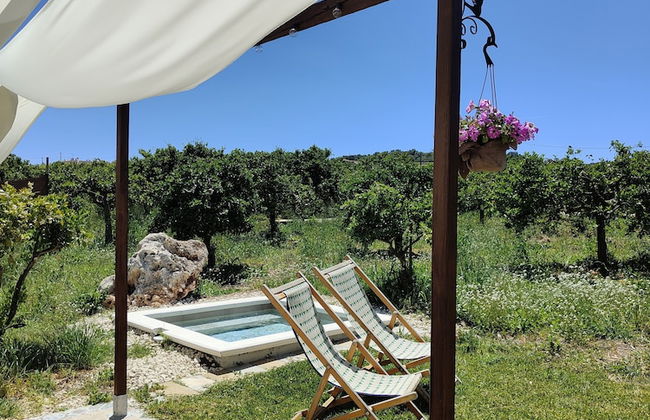 AgriBarocco - Foto 13