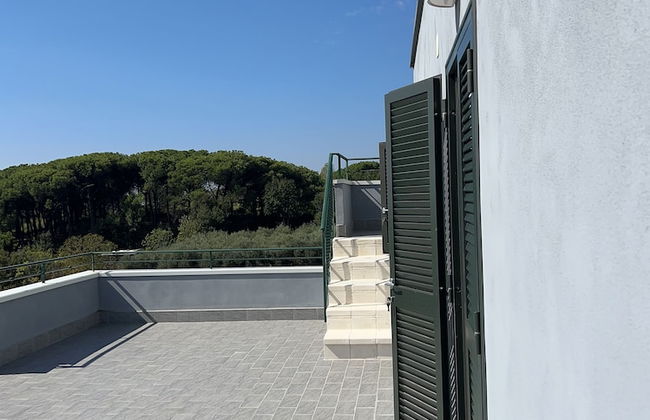 Le sette punte - Photo 15