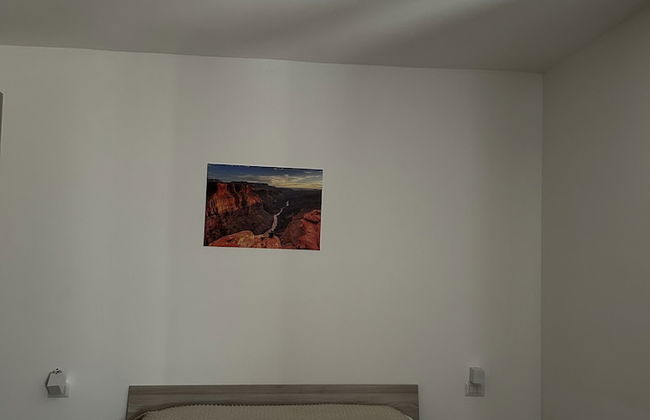 Le sette punte - Photo 3