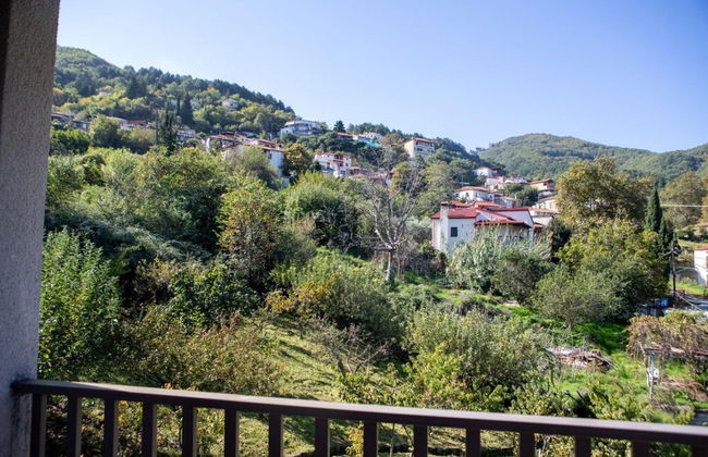All Seasons Guest House - Foto 36