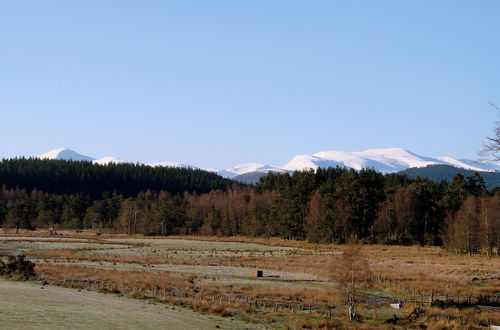 Photo 78 - The Dell of Abernethy