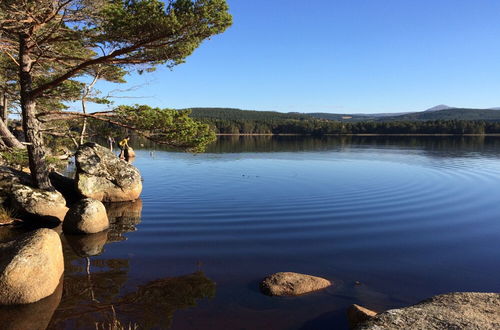 Photo 66 - The Dell of Abernethy