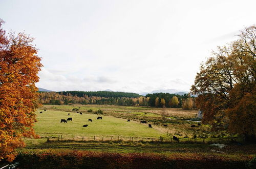 Photo 72 - The Dell of Abernethy