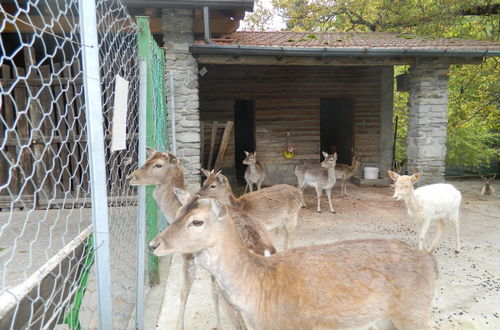 Foto 67 - Lago Maggiore Holiday House, Vista Lago, Vignone