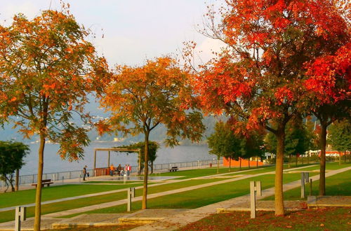 Photo 26 - Lago Maggiore Holiday House Lake View Vignone