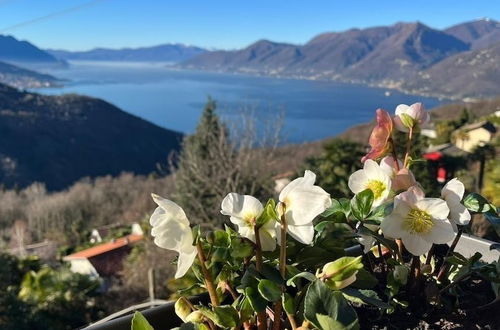 Photo 6 - Lago Maggiore Holiday House, Vista Lago, Vignone