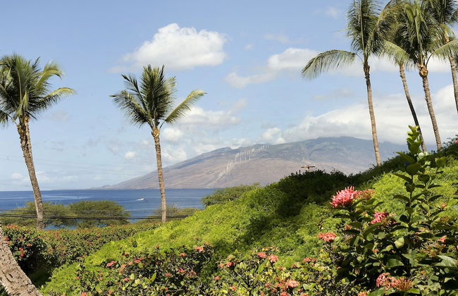 Maui Kamaole - Foto 37