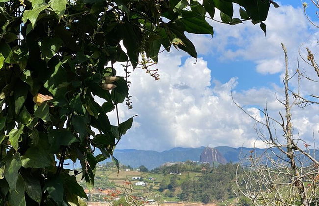 Rocksglamping - Photo 58