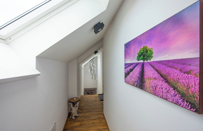 Apartmány Žakovce & SPA - Photo 67