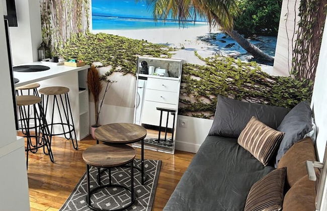 APPARTEMENT PARIS CDG COSY ET LUMINEUX - Foto 6