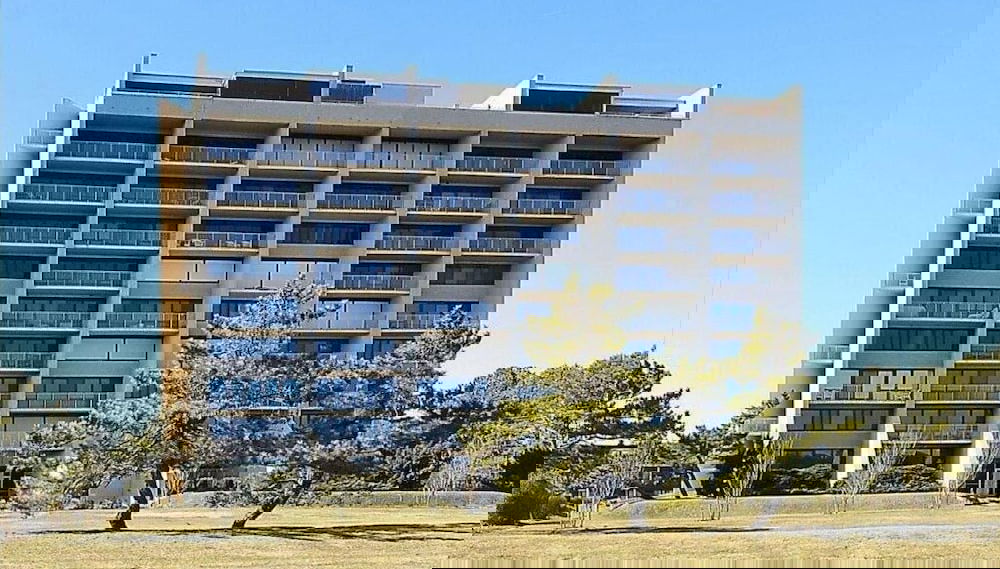 Imagem principal