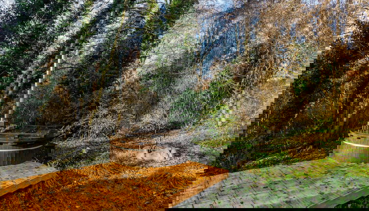 Foto 1 - Dream By The Stream In A Yurt