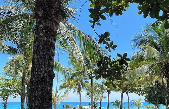 Beach Rock Resort Belitung - Foto 50