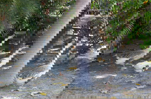 Photo 55 - Quinta Pavo Real by Acomodo