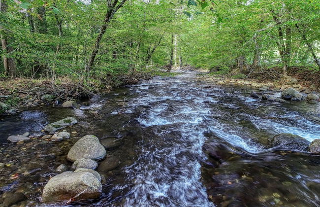 Sweet - 2 Bedrooms, 2 Baths, Sleeps 6 Cabin by RedAwning - Foto 22
